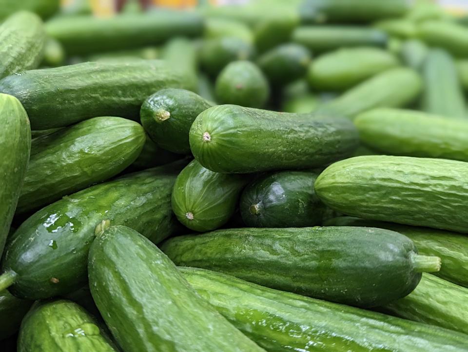 Fresh Cucumbers